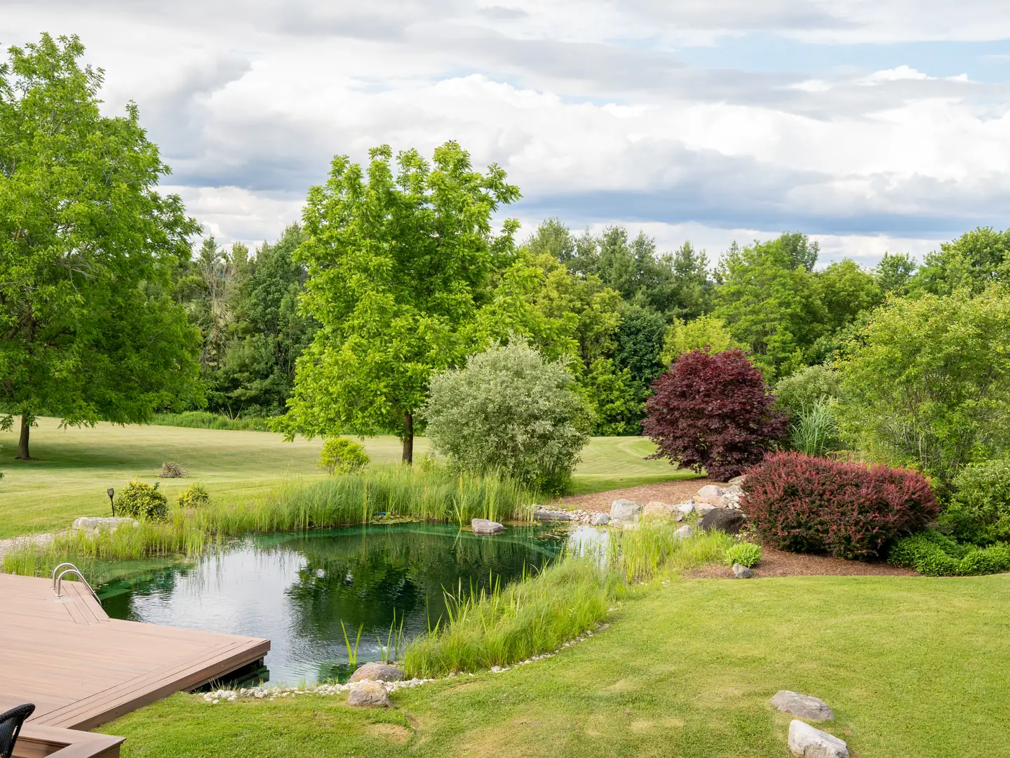 Landscaped pond, deck and mature grounds