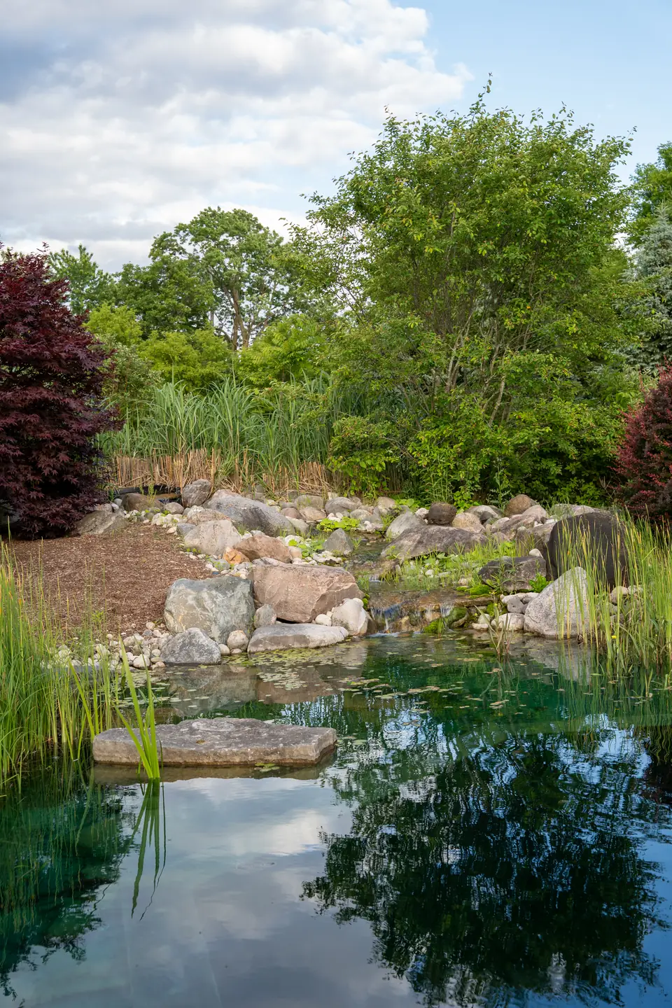 Rock-edged natural pool with a stepping stone, grasses and a red maple